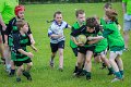 Monaghan Rugby Summer Camp 2015 (46 of 75)